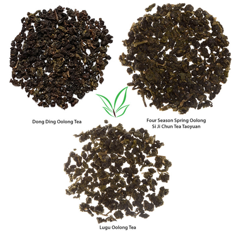 Oolong Tea Collection
